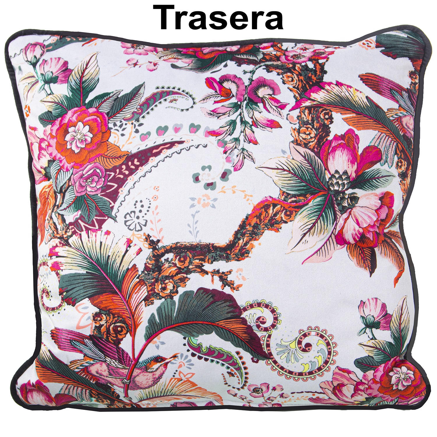 33588-cojin-indiano-terciopelo-1.jpg