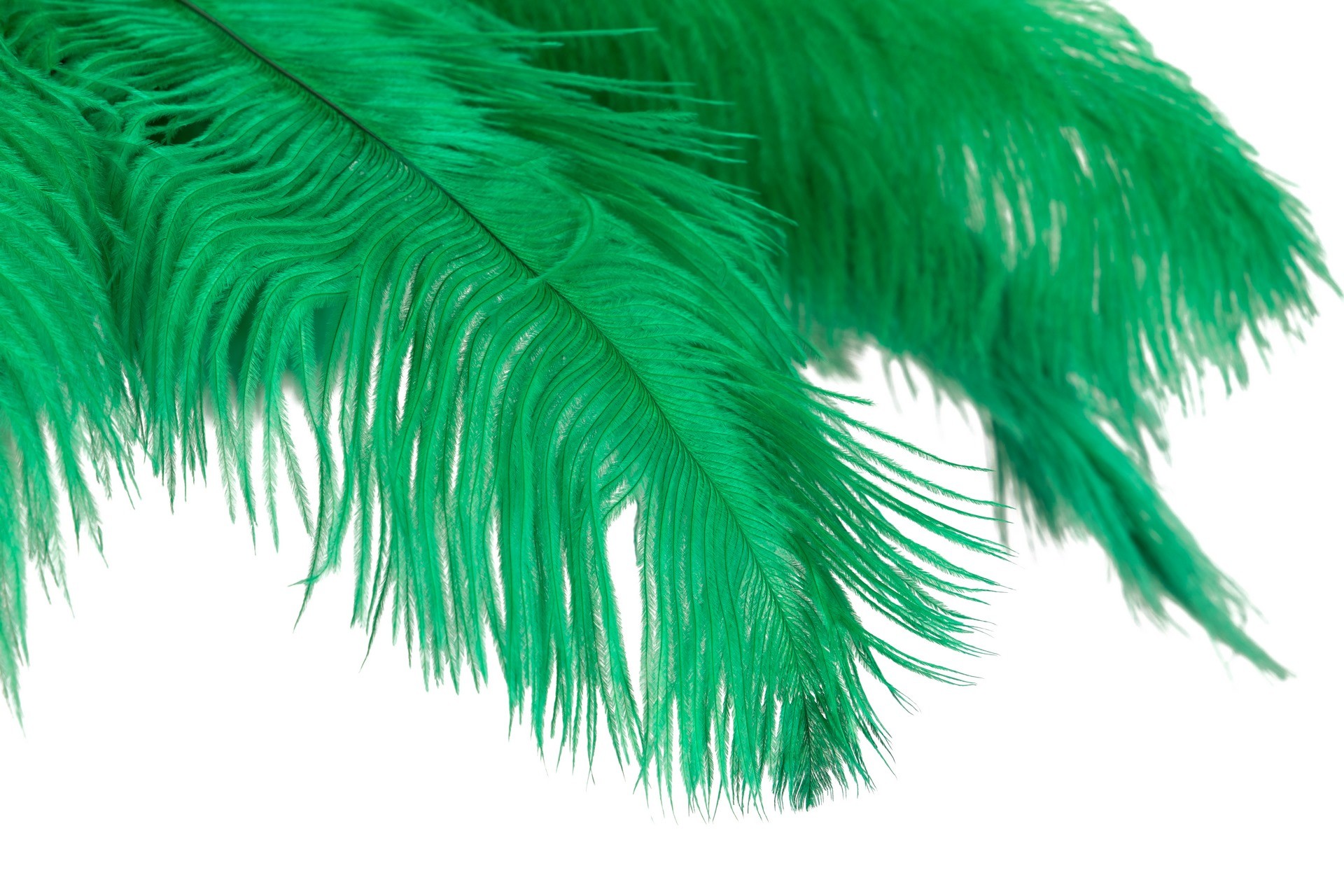 33608-lampara-plumas-verdes-2.jpg